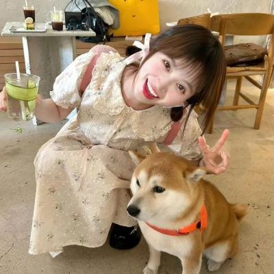 小猪佩奇第一季