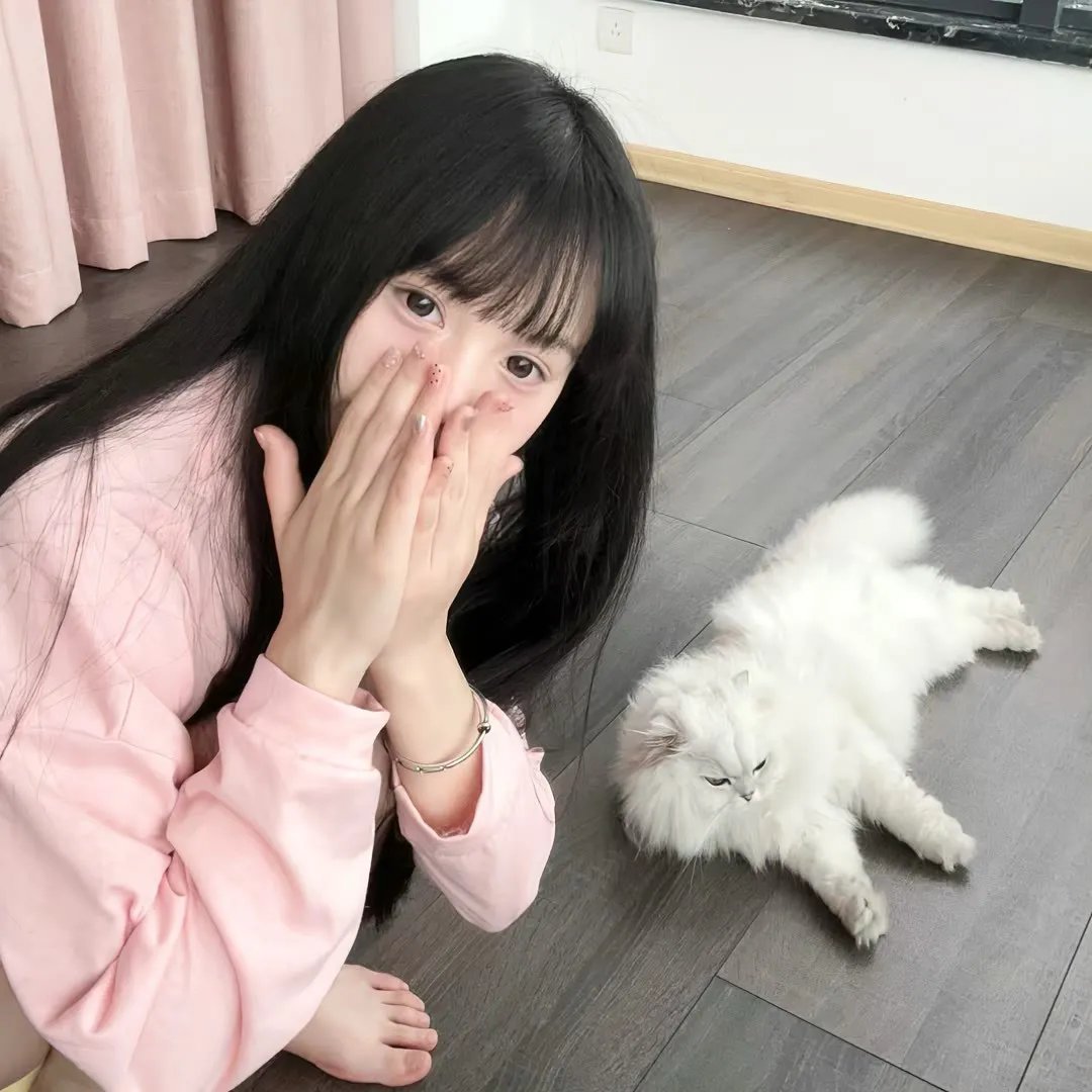 泰山战群雄